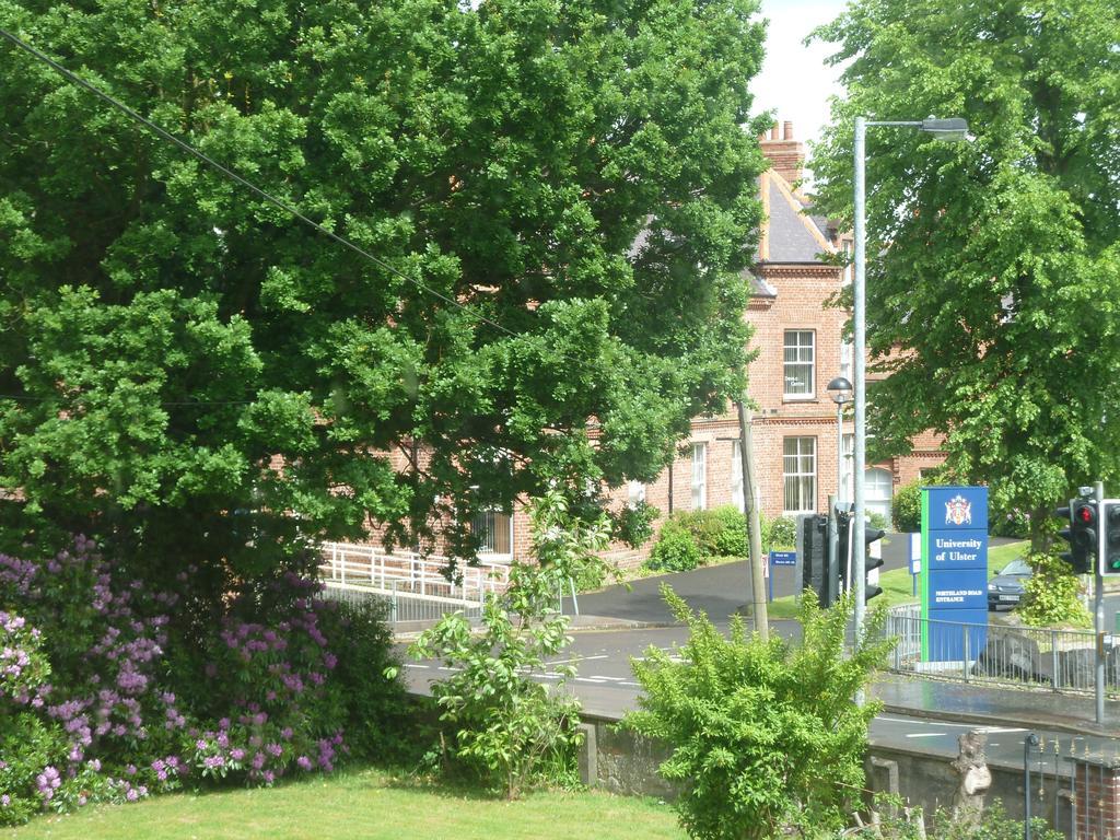 City Centre B & B Londonderry Ruang foto